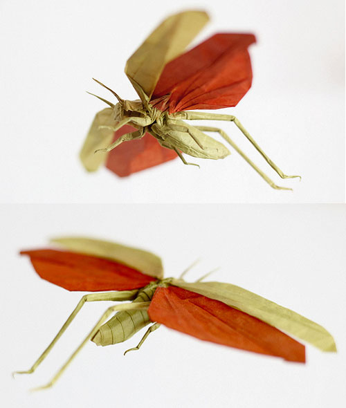 Realistic Animal Origami From Sipho Mabona