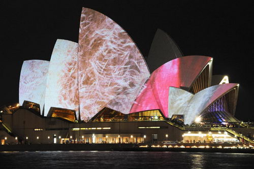 Lighting the Sails - Vivid Sydney