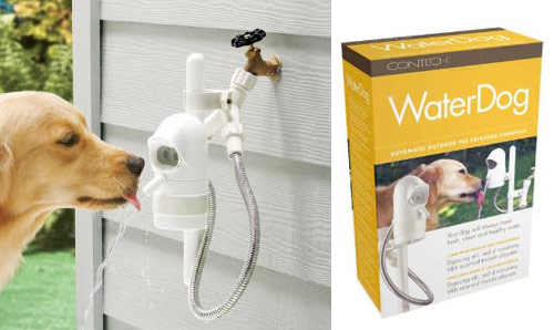 innovative dog products