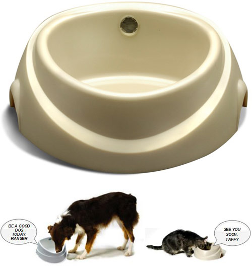 Contech water outlet dog