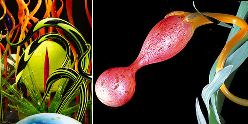  Breathtaking Glass Art Work From Dale Chihuly