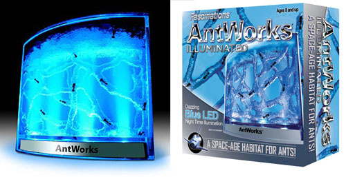 Fascinations AntWorks Illuminated Blue