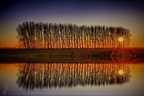 Beautiful Reflection Photography