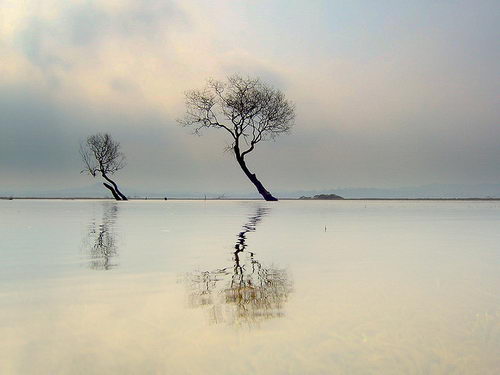 Beautiful Reflection Photography