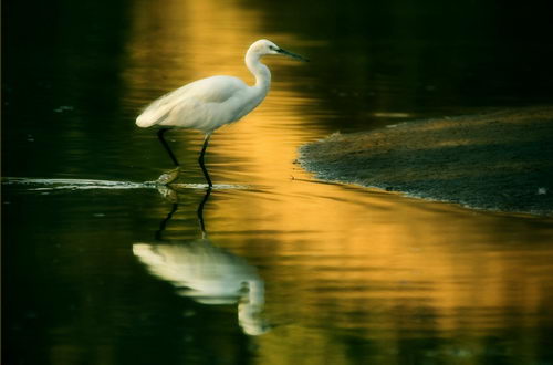 Beautiful Reflection Photography