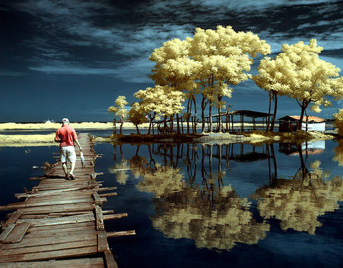 Beautiful Reflection Photography