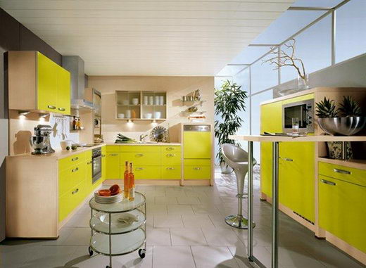 https://img.designswan.com/2010/09/kitchen/5.jpg