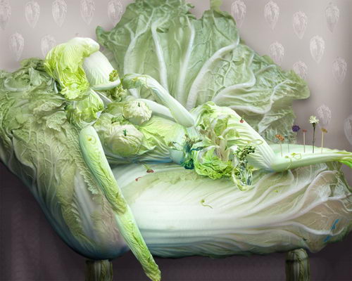 Fantastic Chinese Cabbage Painting