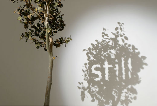 Amazing Shadow Art - Shadow Sculptures