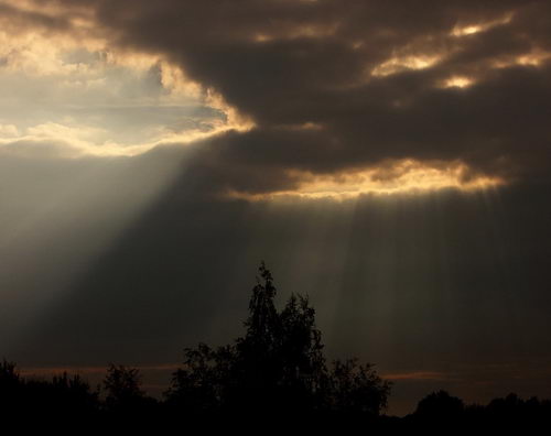 Breathtaking Sunbeams Photography