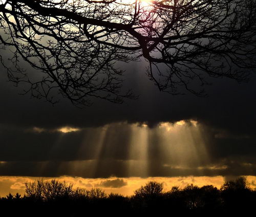 Breathtaking Sunbeams Photography