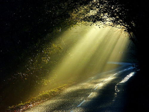 Breathtaking Sunbeams Photography