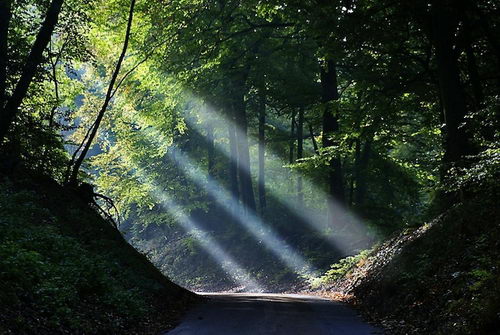 Breathtaking Sunbeams Photography