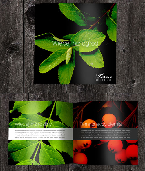 21 Beautiful and Creative Brochure Designs