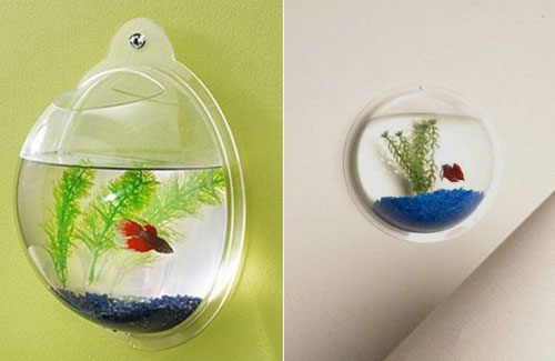 Acrylic Wall Mount Fish Bowl