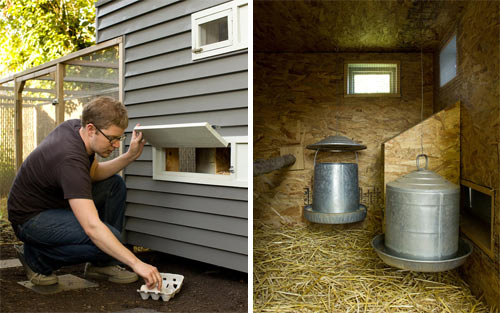 Creative Modern Chicken Coop Designs