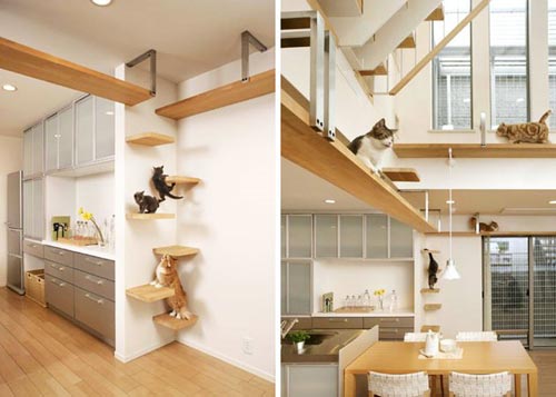 Lovely Cat House: A Playground for Cat