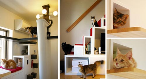 Lovely Cat House: A Playground for Cat