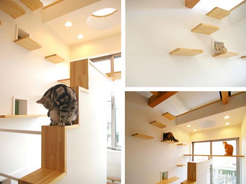 Lovely Cat House: A Playground for Cat