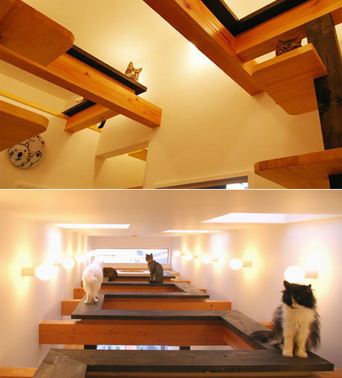 Lovely Cat House: A Playground for Cat