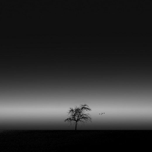 Magnificent Black and White Photography by Kevin Saint Grey