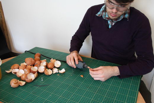 What Came First? Chicken Sculptures made from eggshells