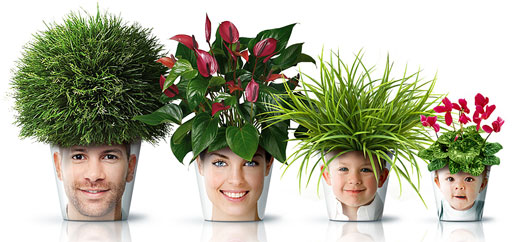 Facepot: Fun and Innovative Flower Pot Displaying Familiar faces