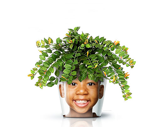 Facepot: Fun and Innovative Flower Pot Displaying Familiar faces