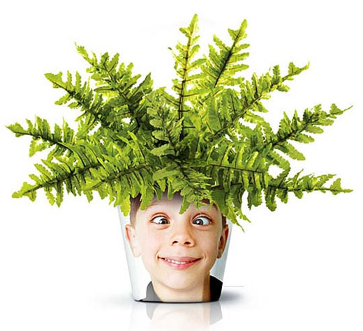 Facepot: Fun and Innovative Flower Pot Displaying Familiar faces