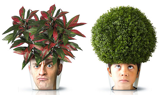 Facepot: Fun and Innovative Flower Pot Displaying Familiar faces