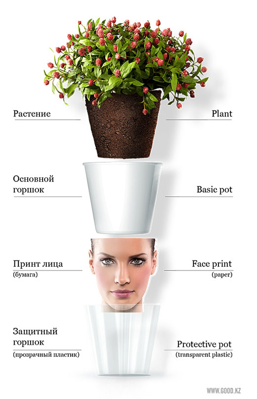 Facepot: Fun and Innovative Flower Pot Displaying Familiar faces