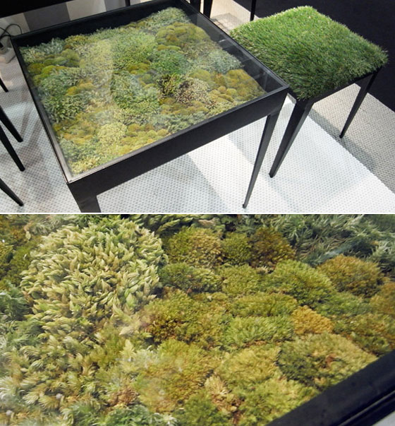Real moss tables