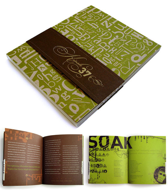 15 Creative and Unique Booklet Designs