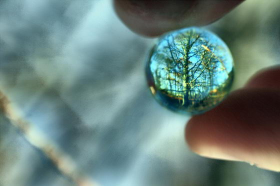 Life Through a Marble:Amazing Photography by Caleb