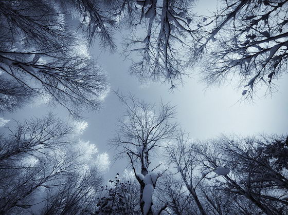 Beautiful Nature Photograhy by Joni Niemelä