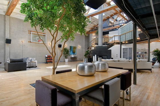 Amazing Loft with a Basketball Court in Living Room
