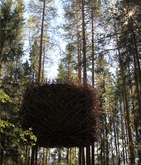 Bird's Nest: Small and Cute Tree Hotel