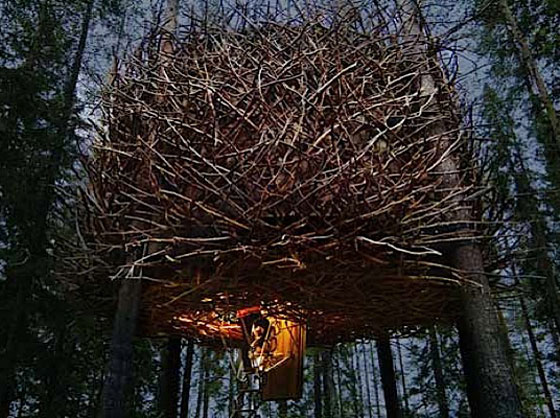 Bird's Nest: Small and Cute Tree Hotel