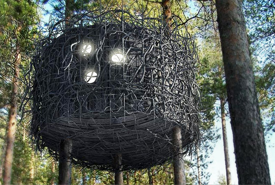 Bird's Nest: Small and Cute Tree Hotel