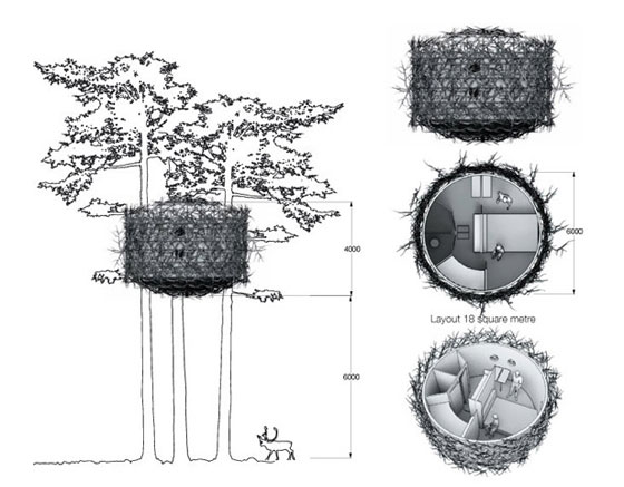 Bird's Nest: Small and Cute Tree Hotel