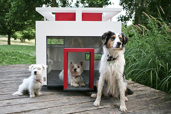 4 Unique and Stunning Dog Mansion Designs