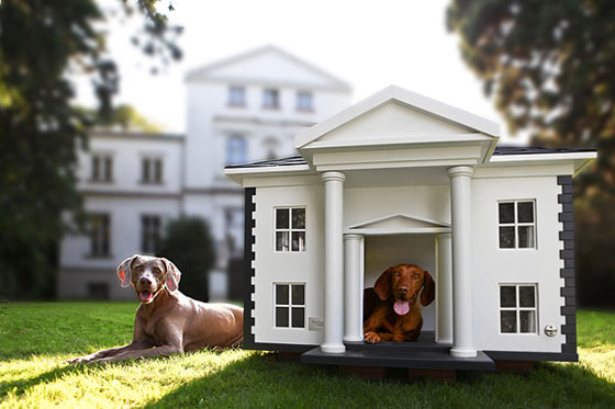 4 Unique and Stunning Dog Mansion Designs