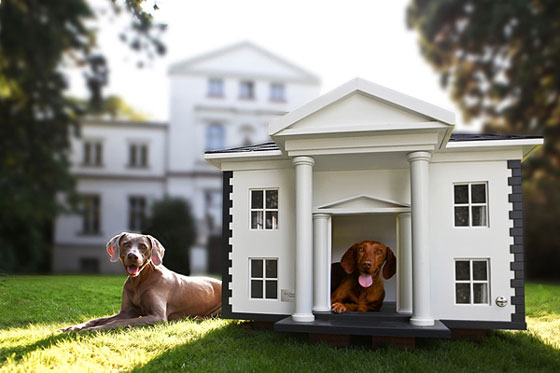 9 Cool Dog House Designs Design Swan