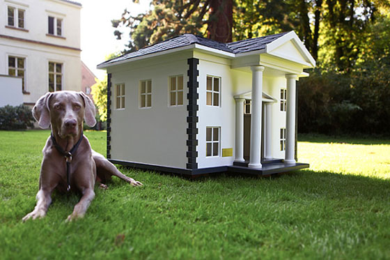 4 Unique and Stunning Dog Mansion Designs