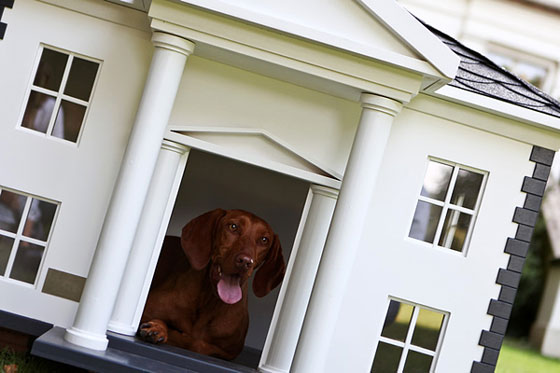 4 Unique and Stunning Dog Mansion Designs
