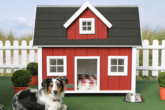 4 Unique and Stunning Dog Mansion Designs