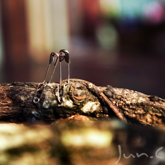 The Story of Pin: Creative Macro Photography about Pin