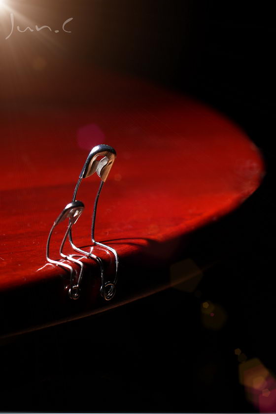 The Story of Pin: Creative Macro Photography about Pin 