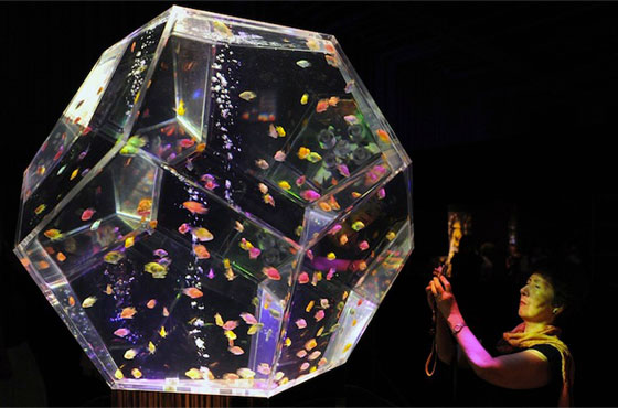15 Creative and Unusual Aquarium Designs