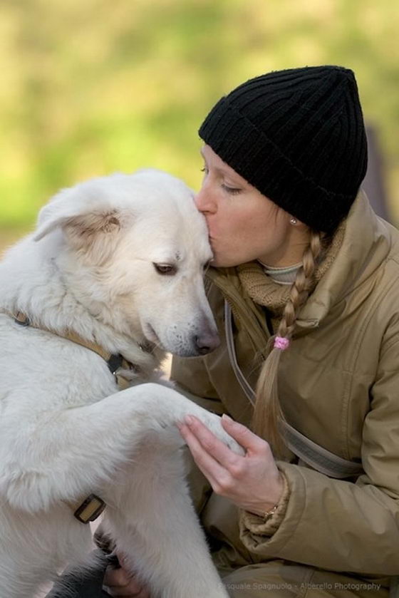 21 Emotionally Touching Photos of Relationship between Dogs and Humans